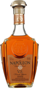 Коньяк NAPOLEON Charles Louіs 3* 40%
