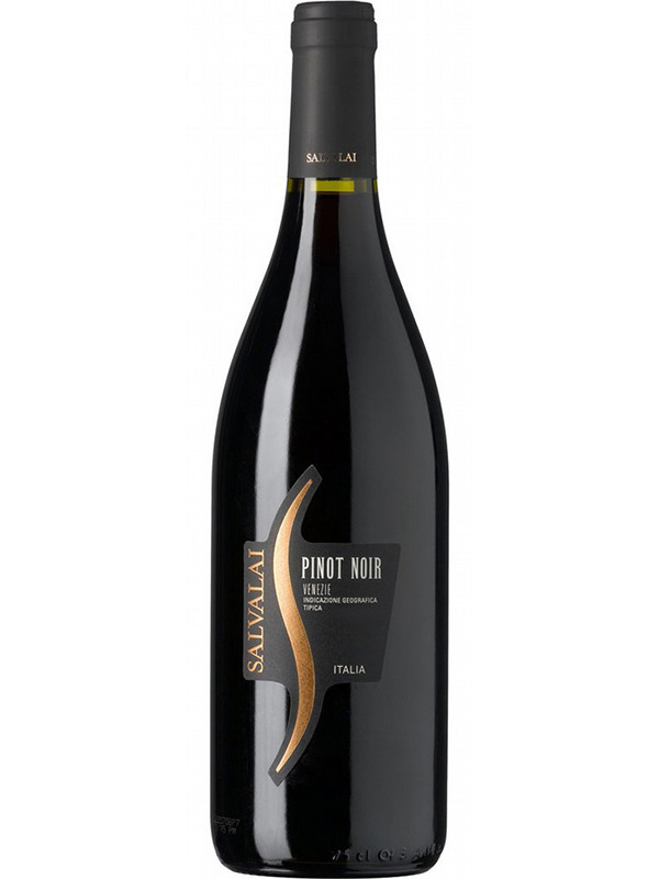 Вино Pinot Noir Salvalai червоне сухе 12.5%